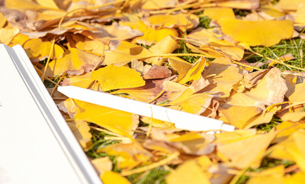 银行信贷员个人年终总结格式