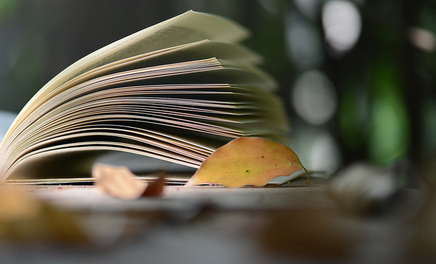 财务会计人员2025年工作总结