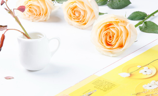 春节活动总结阅读