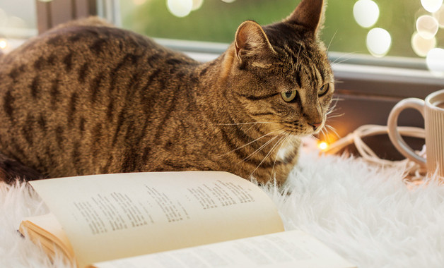 服装销售人员年终总结与计划