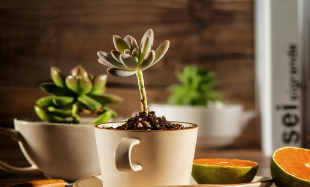 幼儿园万圣节的活动总结