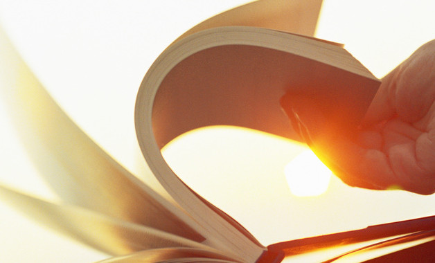 企业员工个人年终工作总结