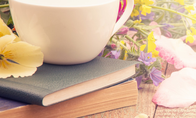 老师工作总结与计划