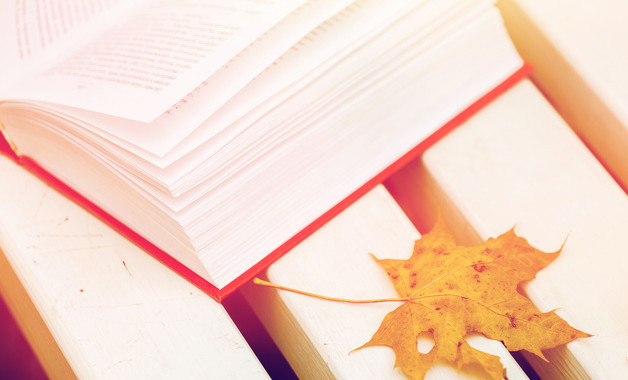 2025年工作总结格式