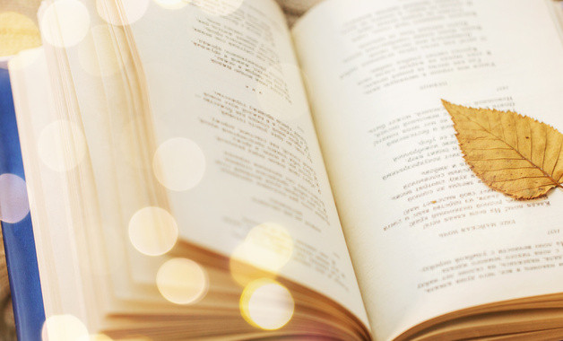 医院护理部工作总结ppt