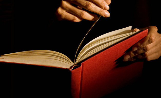 个人工作总结报告模板