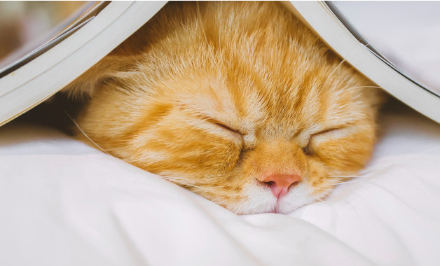 基层公务员个人年终总结与计划一