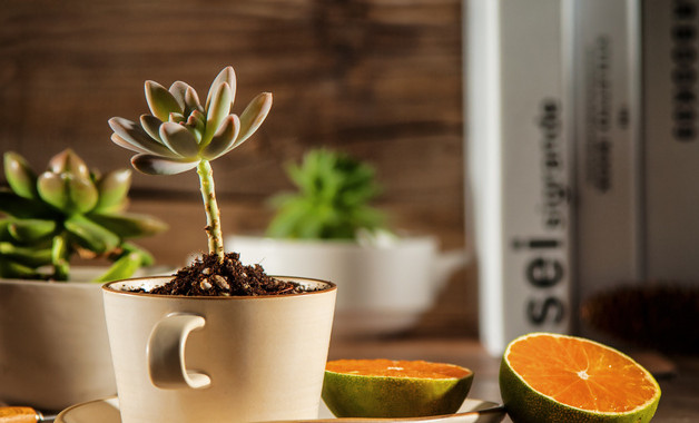 2025年计划生育半年工作总结