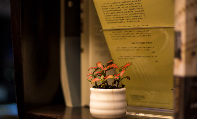 2025年小学教师节活动总结