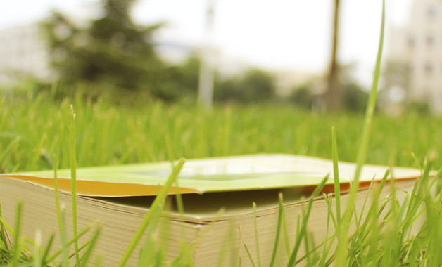 基层公务员2025年度考核个人工作总结