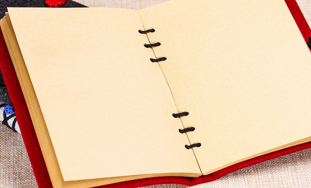 2025医院出纳年终个人总结