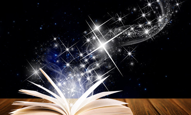 见习生个人总结