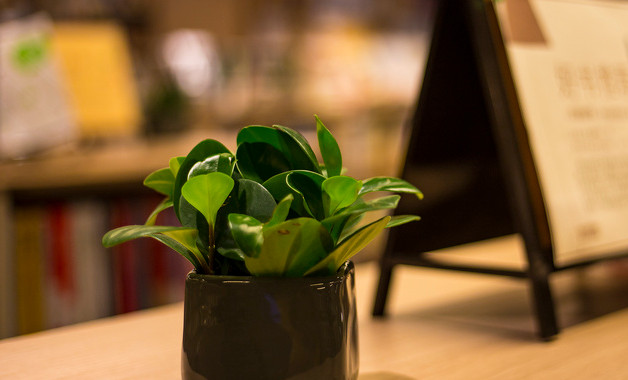 小学教师第二学期个人工作总结