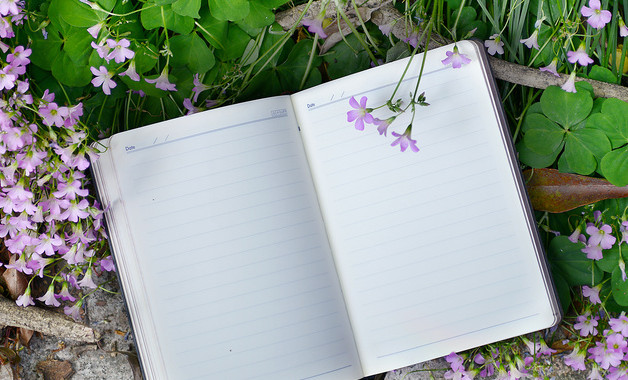 大学生期末个人总结