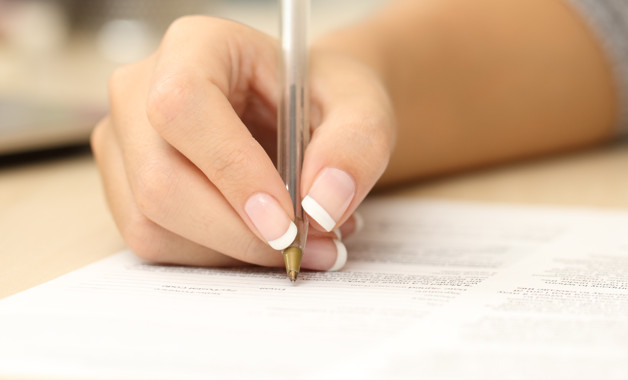 2025景区导游年终个人总结