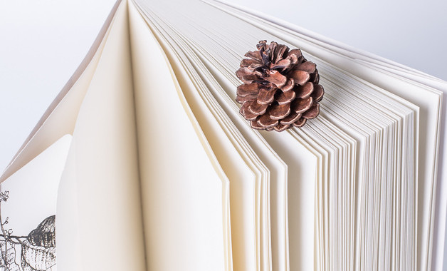 公司拓展培训总结