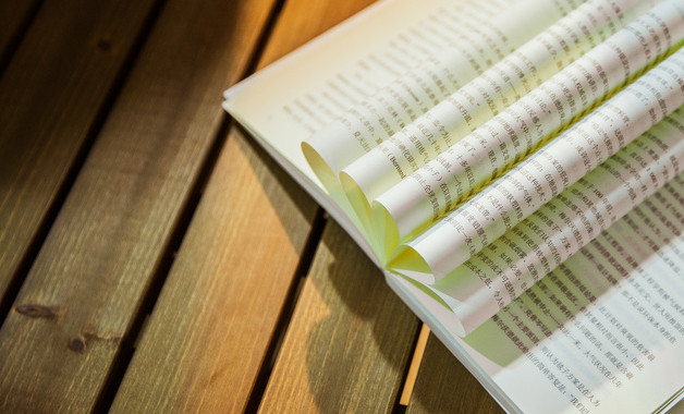 公司元宵节活动总结报告