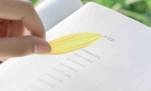 大学生班主任工作总结