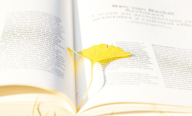 校园圣诞节的活动总结格式