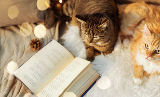 银行经理年终工作总结