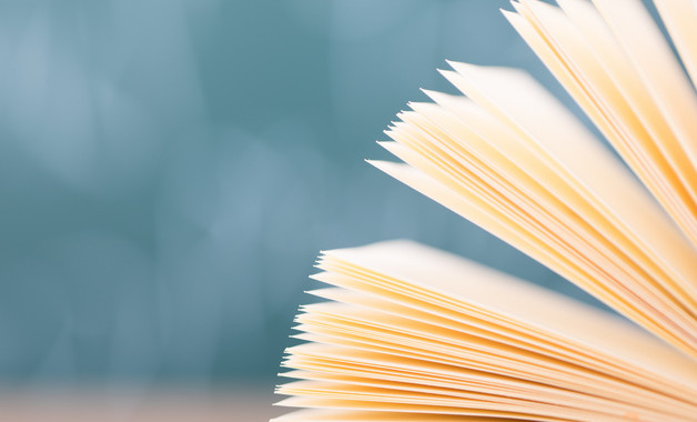 2025年销售内勤个人年终总结