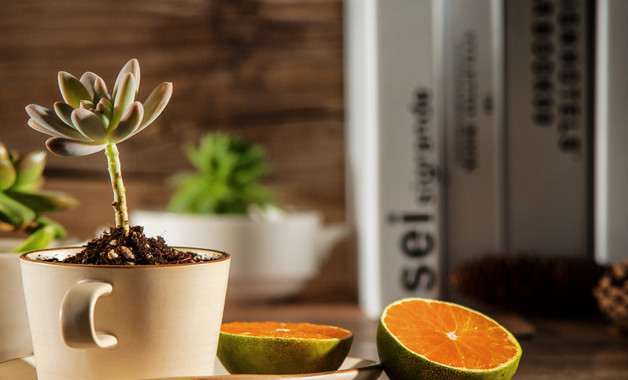 贸易部2025年个人总结报告