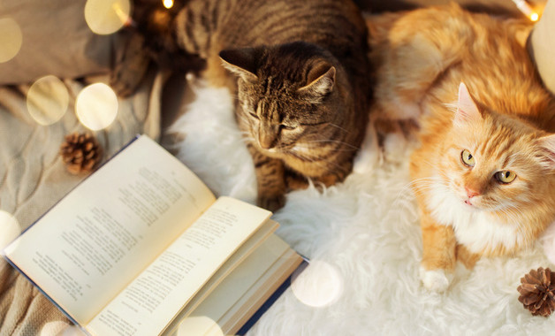 精选部门年终工作总结