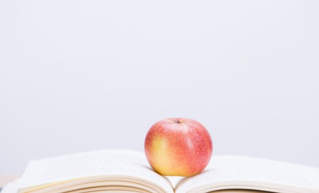 制药企业个人工作总结