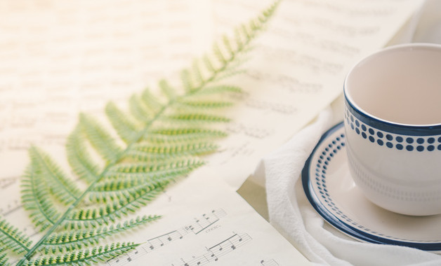 幼儿园后勤工作总结()