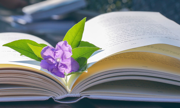 it工程师试用期个人总结