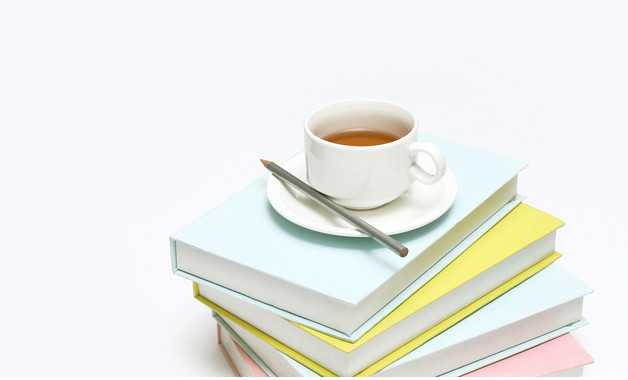 2025年银行员工试用期工作总结800字