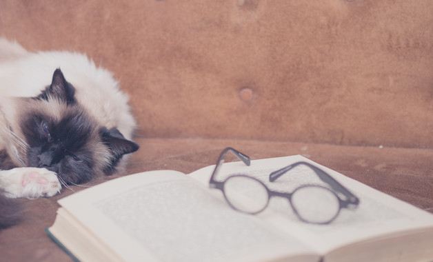 房地产销售经理年终工作总结