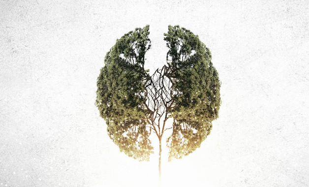 天猫客服个人工作总结模板