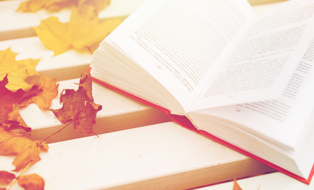 清洁校园的活动总结模板