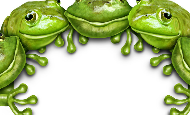 部门个人工作总结