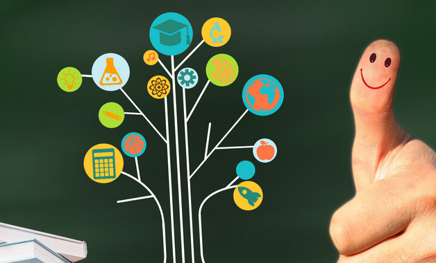 幼儿园的主题活动总结