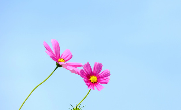 实习生2025年4月工作总结