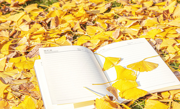 地理教学个人工作总结